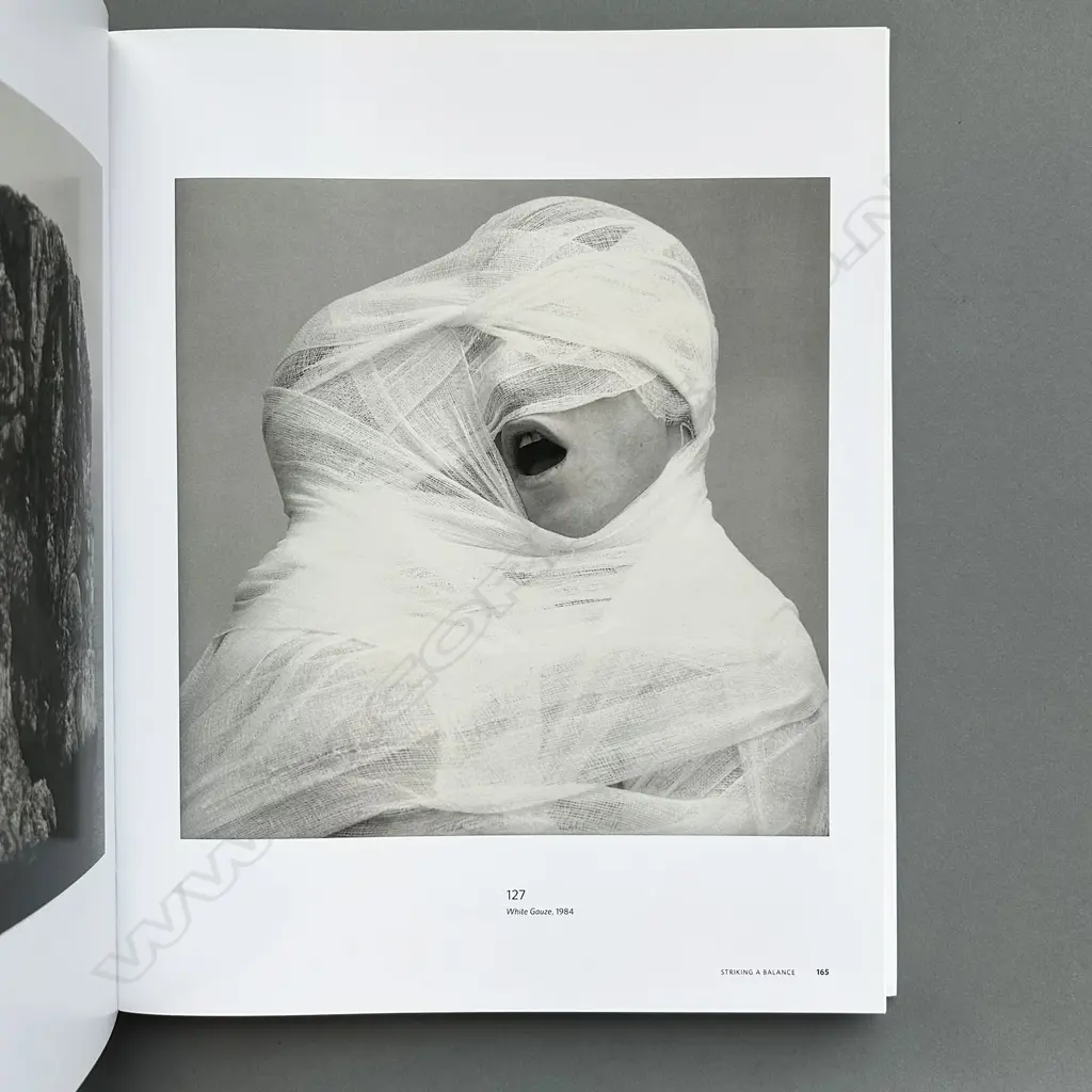 ROBERT MAPPLETHORPE: THE PHOTOGRAPHS Image 1++